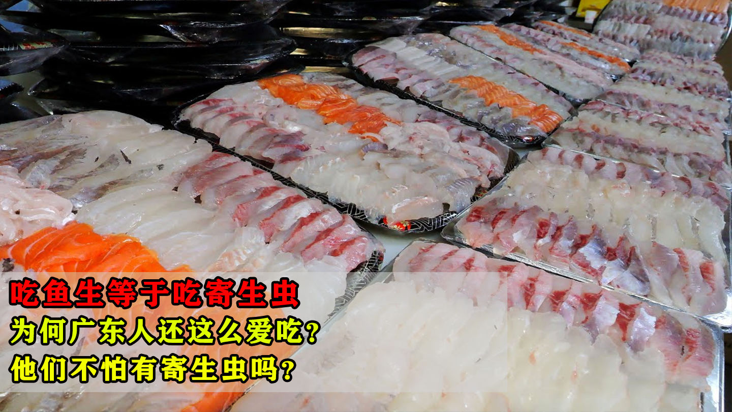 关注问题 67 写回答 登录/注册 寄生虫 生鱼片 刺身 肠道寄生虫
