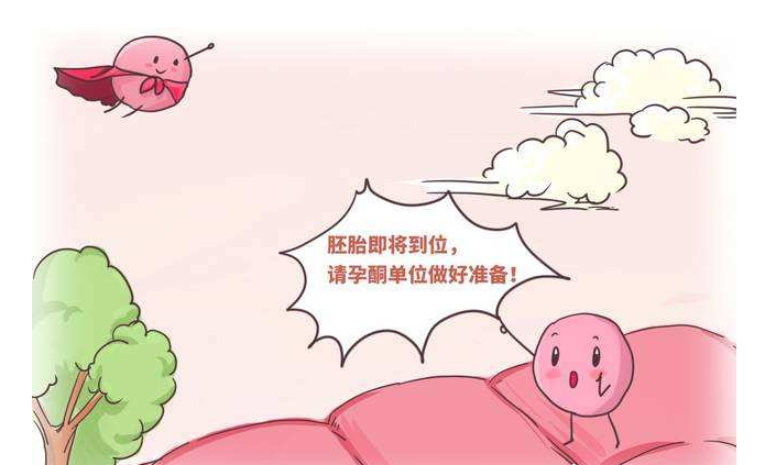 孕激素都有什么具体的作用呢? - 知乎