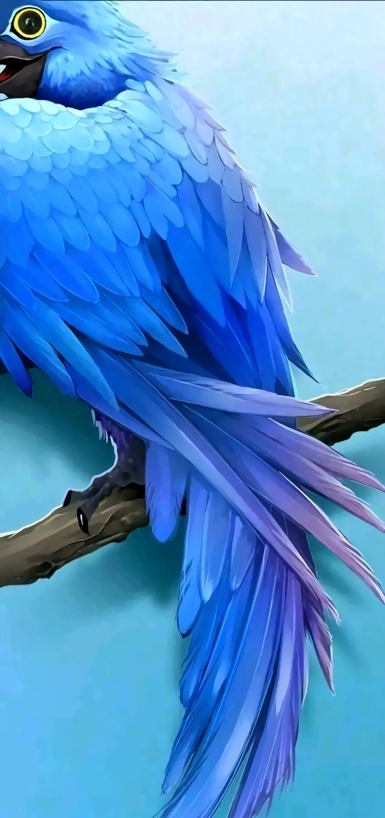 有没有三星s20的开孔隐藏壁纸