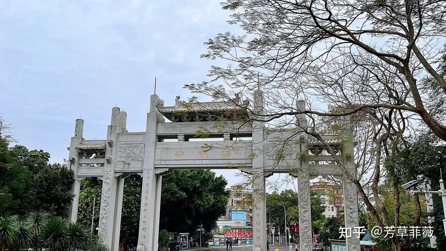 2025周末深圳好去处，深圳绿道徒步（持续更新中~） - 知乎