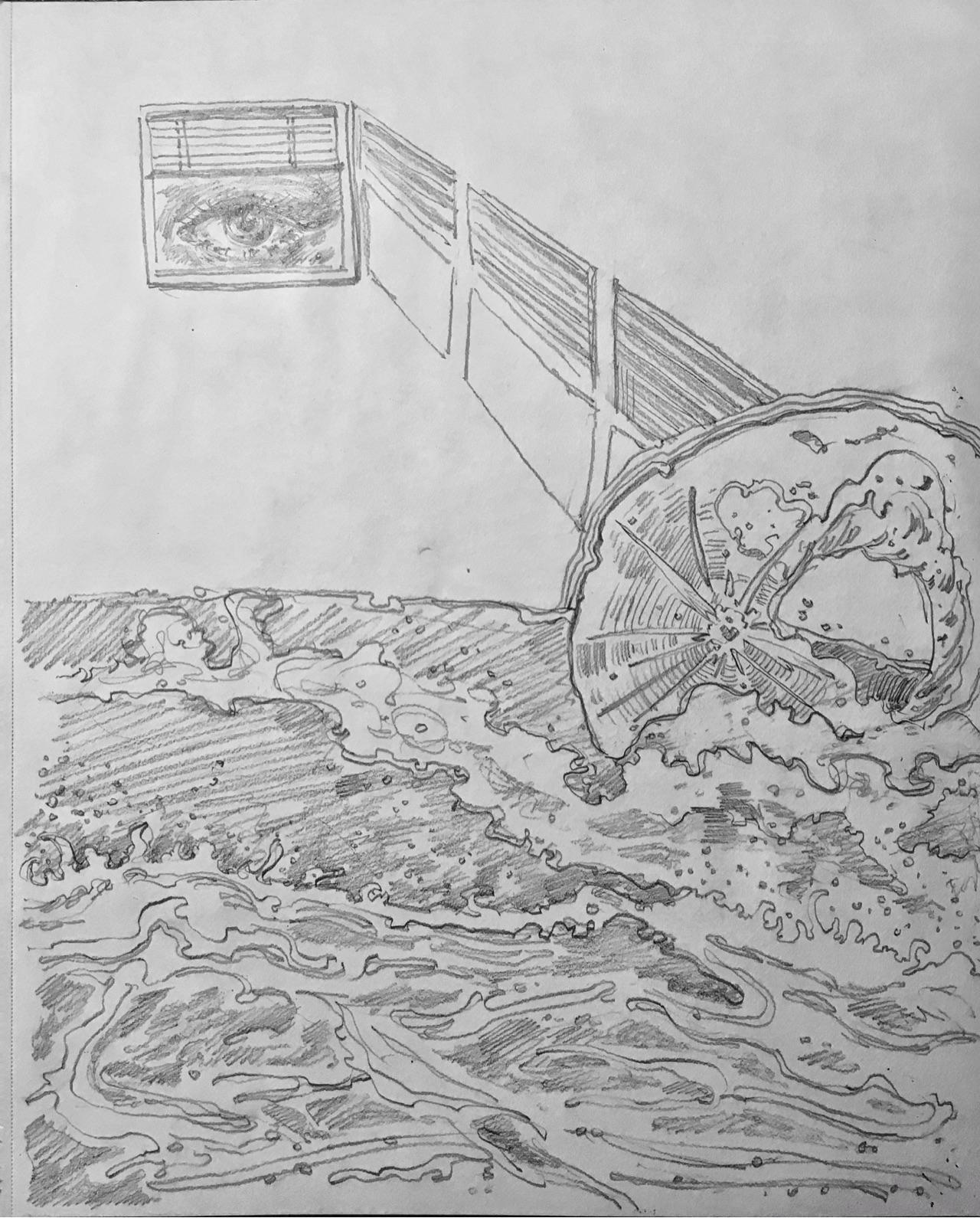 你的速写本第一页和最后一页都画了什么?