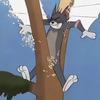 今日长缨何处寻