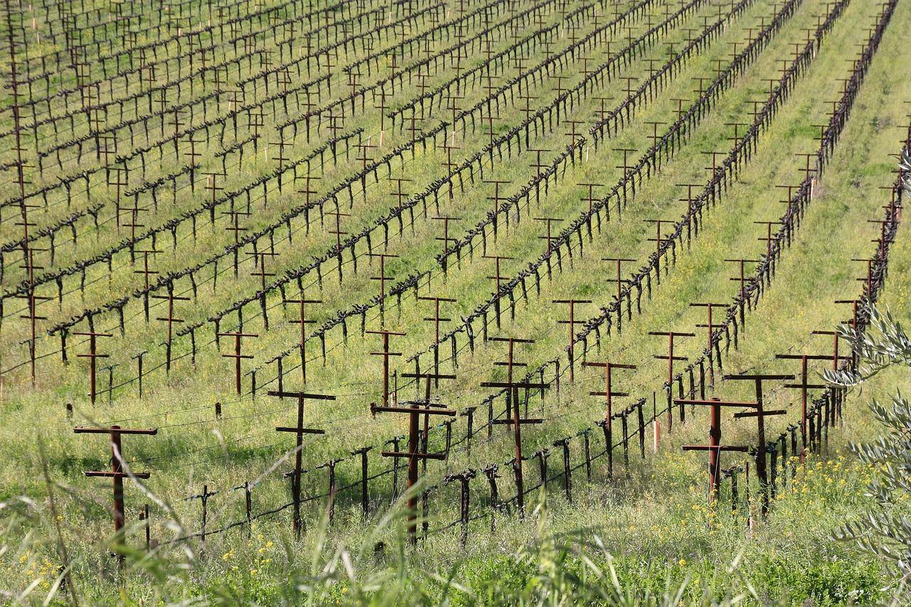 4. 红酒柜容量速查