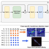 【论文阅读】《Multi-class Token Transformer for Weakly Supervised Semantic Segmentation(CVPR2022)》