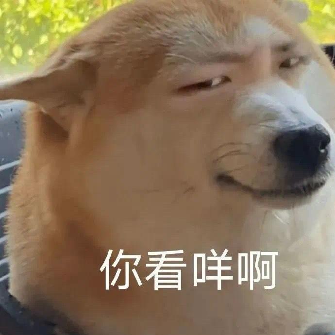 100个有趣表情包,嘴替必用 - 知乎
