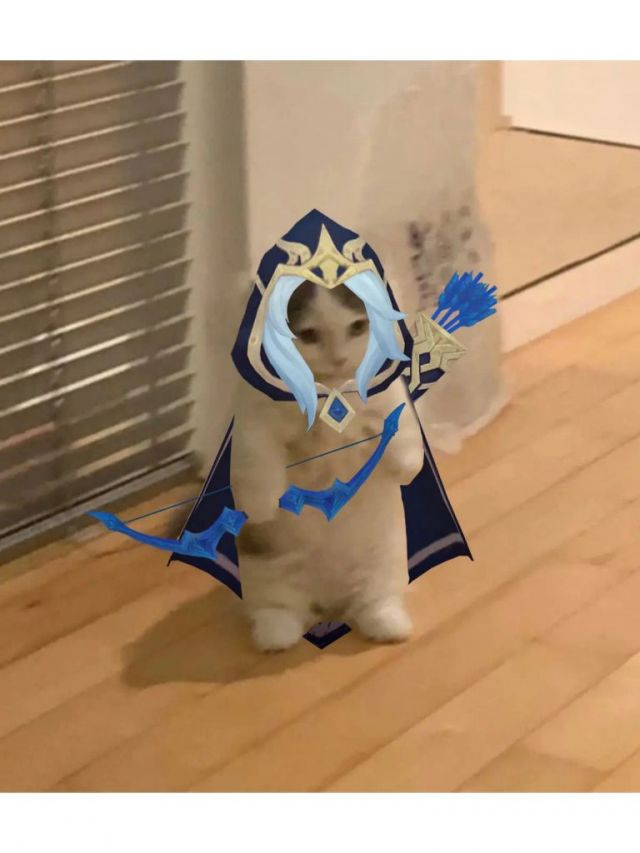 你都有哪些英雄联盟魔法猫咪的表情包