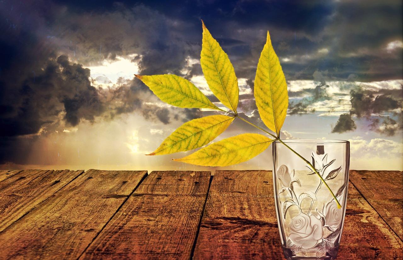 玻璃花瓶 什么玻璃