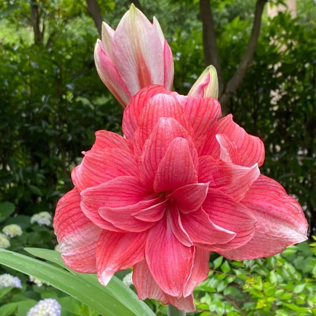 有什么适合中年人或老年人的微信头像? - 知乎