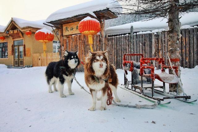 哈爾濱旅遊有哪些攻略?-哈尔滨旅游攻略路线最佳路线