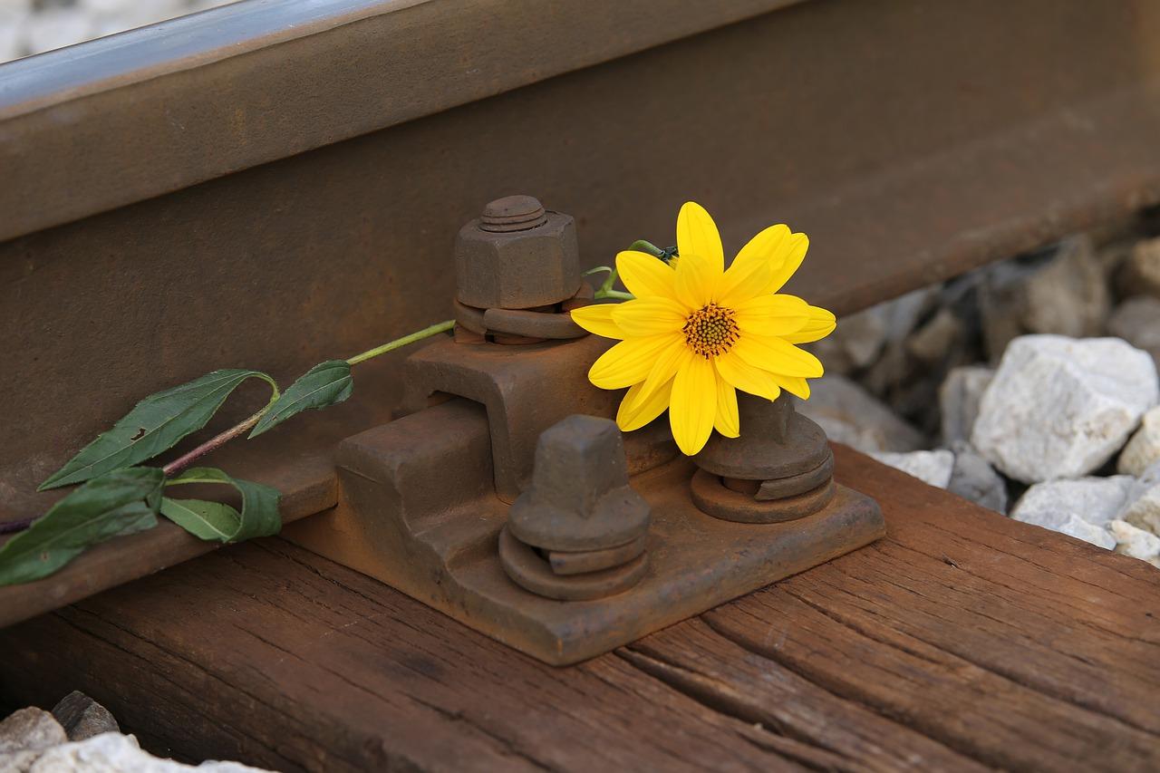 隧道工程单价分析