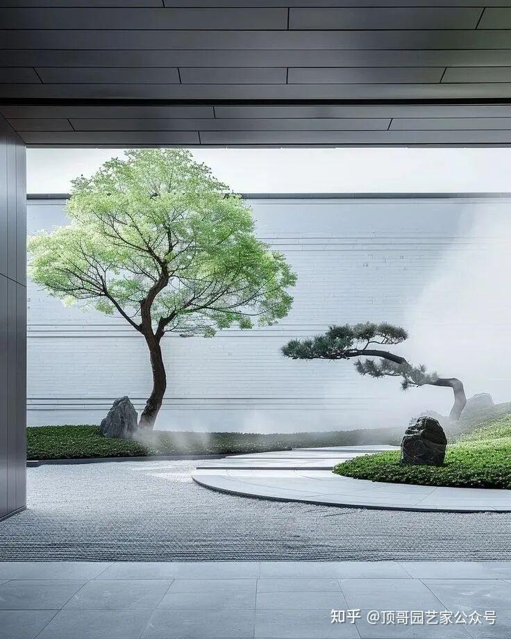 庭院造型树怎么选？这 4 种树，一株撑起院子高级感 - 知乎