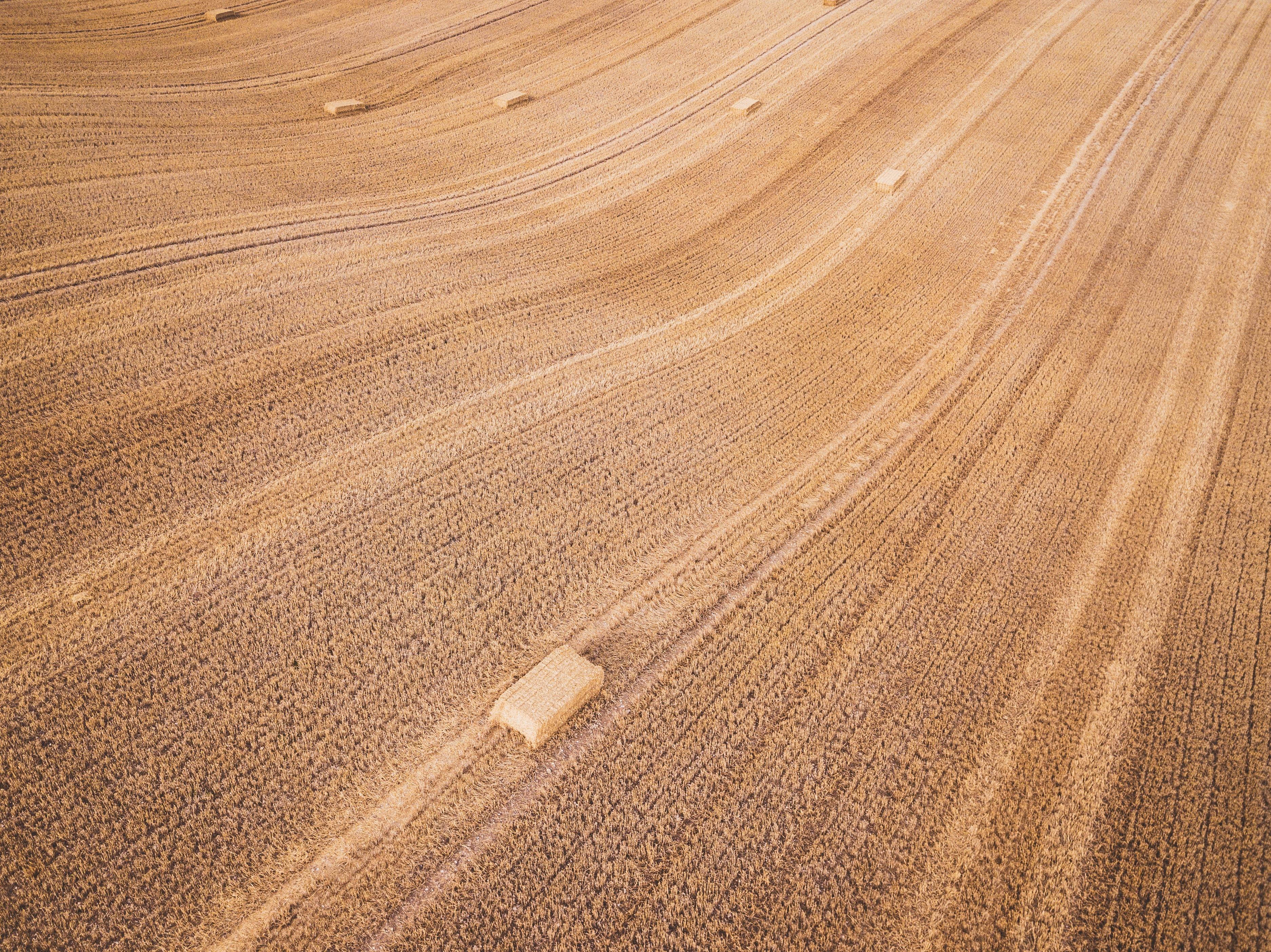 敦煌地毯怎么样