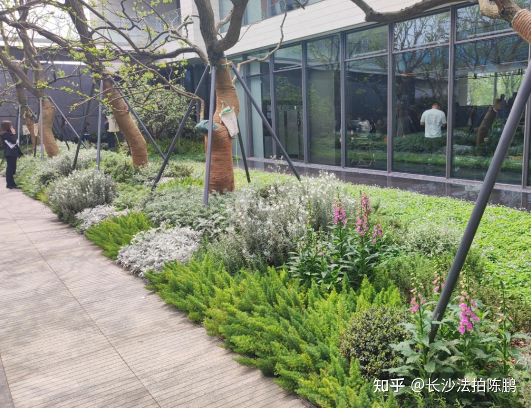 1万起卖:正地铁口,洋房、小高层央企新盘首发!洋湖超好环境! - 知乎