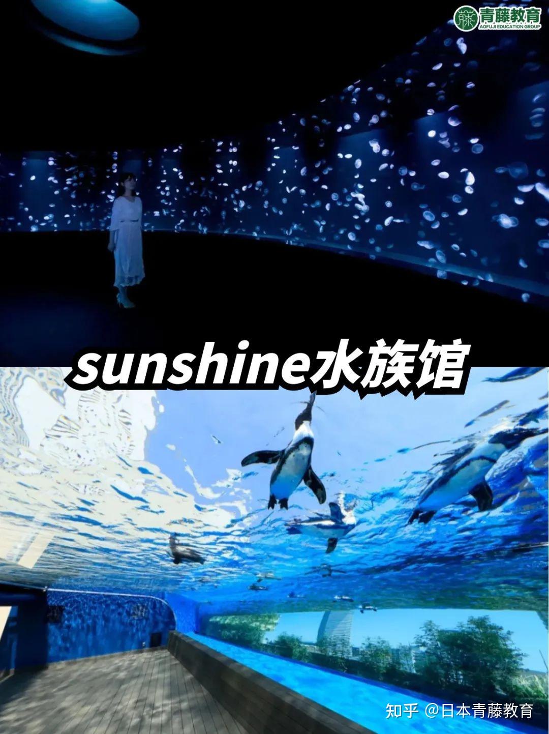 东京夏天|凉爽悠闲度过一天好去处7选🌳 - 知乎