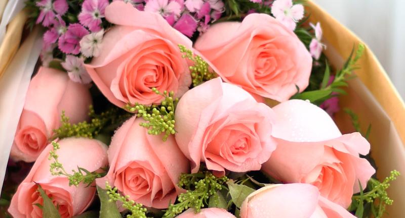 粉玫瑰花语,11朵-99朵粉玫瑰分别代表什么?