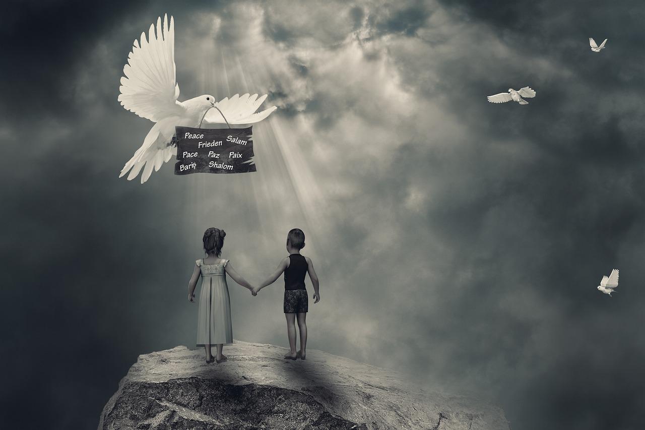 生物多样性之美