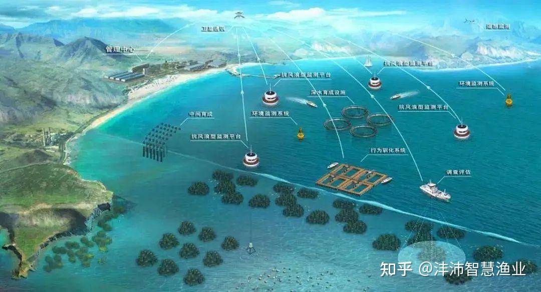 2025年浙江海洋大学三位一体面试真题