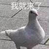 user-profile-image