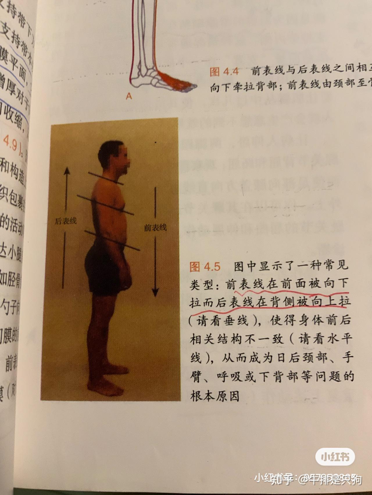 4.《解剖列车》前表线 - 知乎