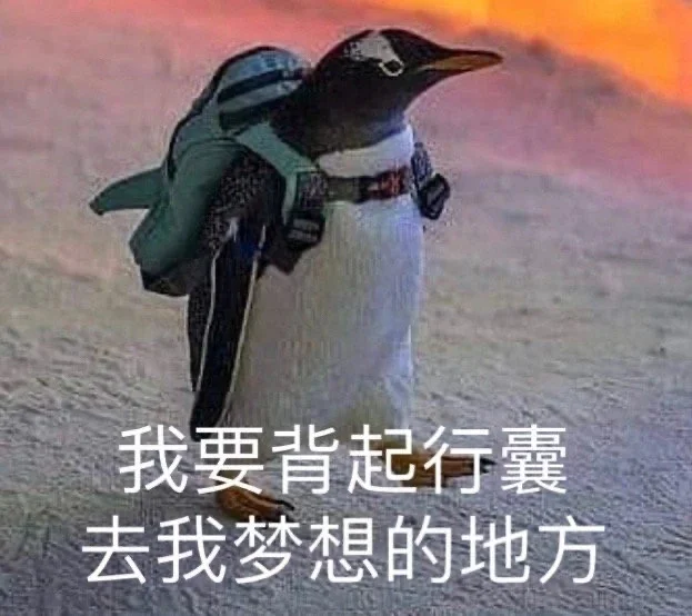 今年旅游市场异常冷清，消费力的提升为什么没有达到应有的效果？