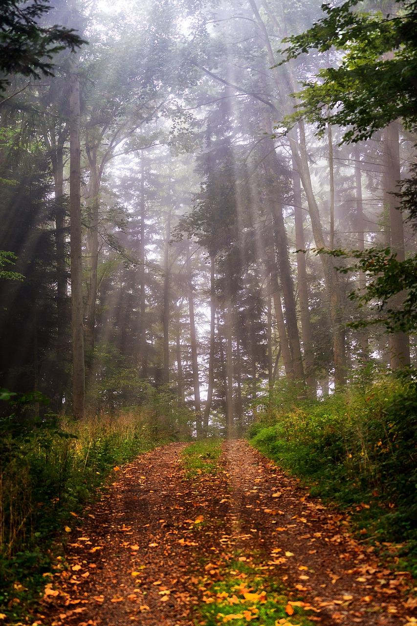 4. 学区资源优势