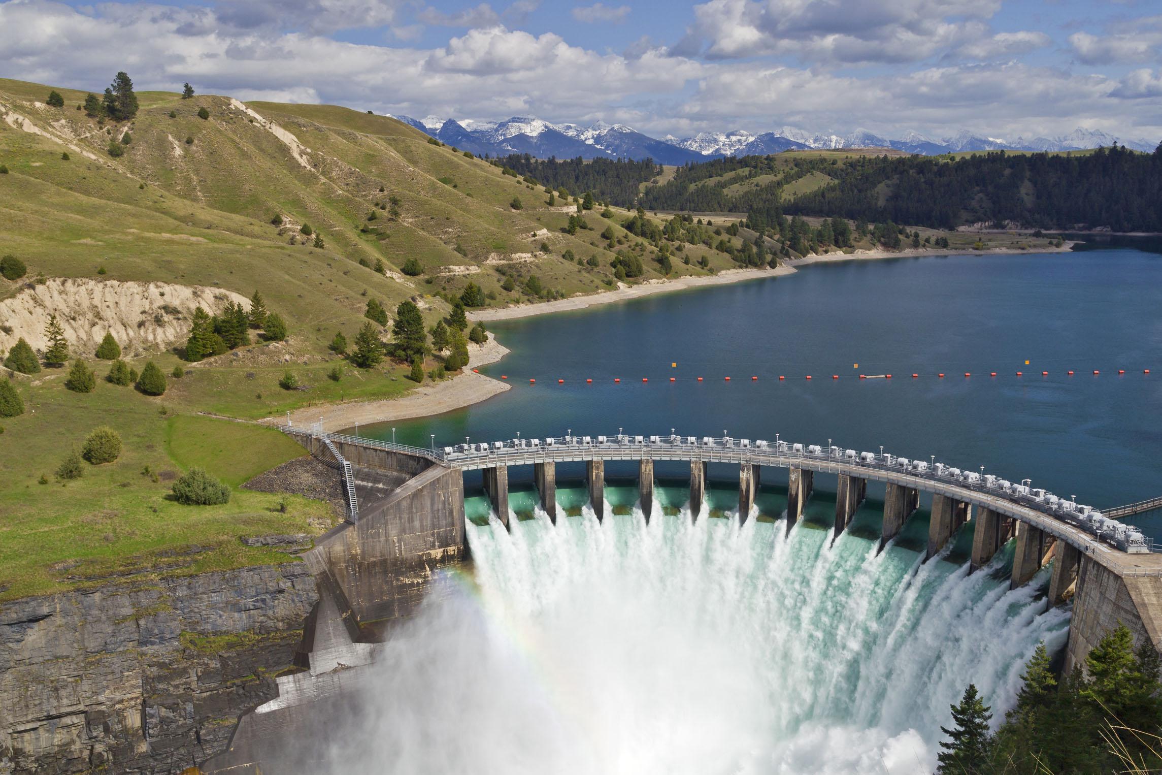 水坝是如何影响长江生态系统生态多样性的?