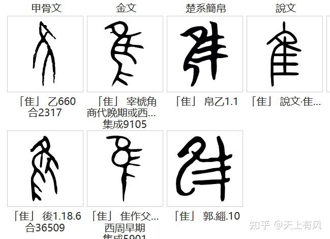 甲骨文中飛字和鳥隹字的造字原型是否有關