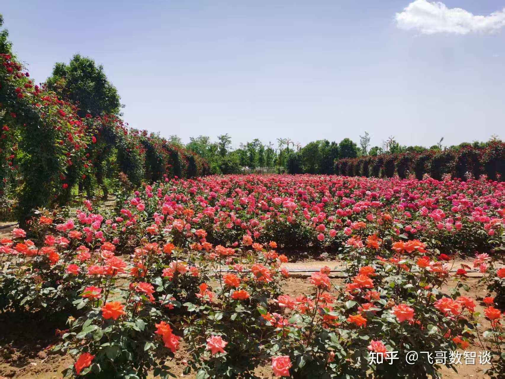 字节跳动正式推出「Coze 扣子 」AI Bot 开发平台,该平台有何作用?