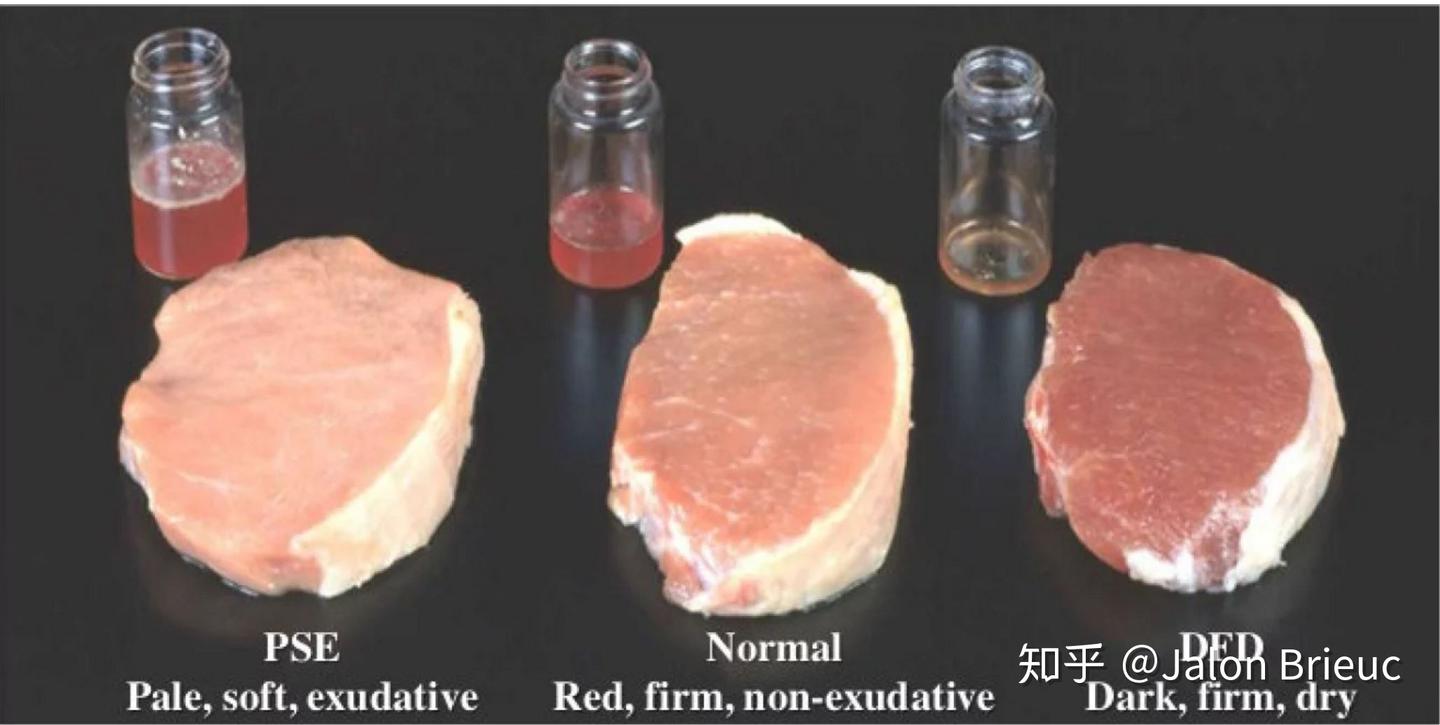 谈肉色变”，牛肉为什么可以是紫色、棕色甚至是彩虹色的？究竟哪种新鲜？ - 知乎