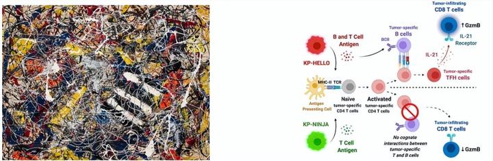 如何做出CNS级别的论文插图？配色指南和软件推荐来了！ - 知乎