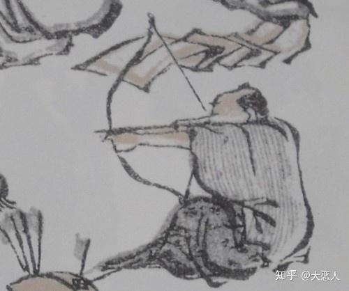 和弓属 - 知乎