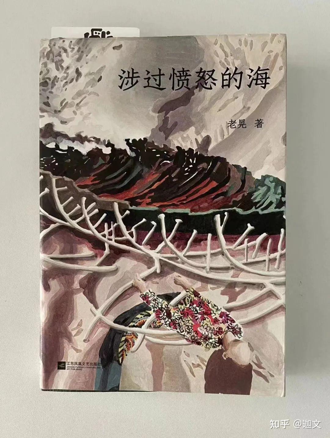 《涉过愤怒的海》为什么影评中全是对老金「表演式父爱」的声讨,却