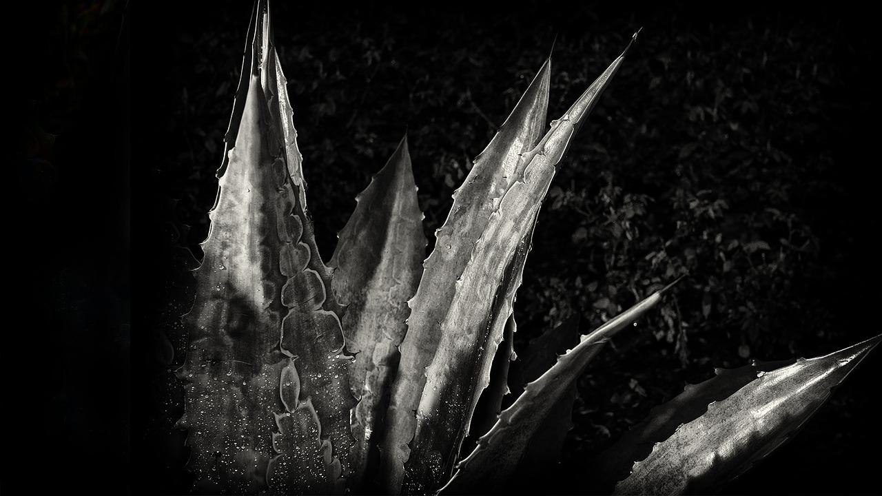 如何往墙上安装字画