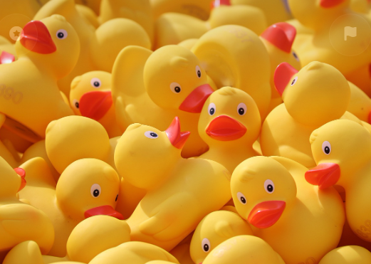 The most bitter substance in the world - bitter essence