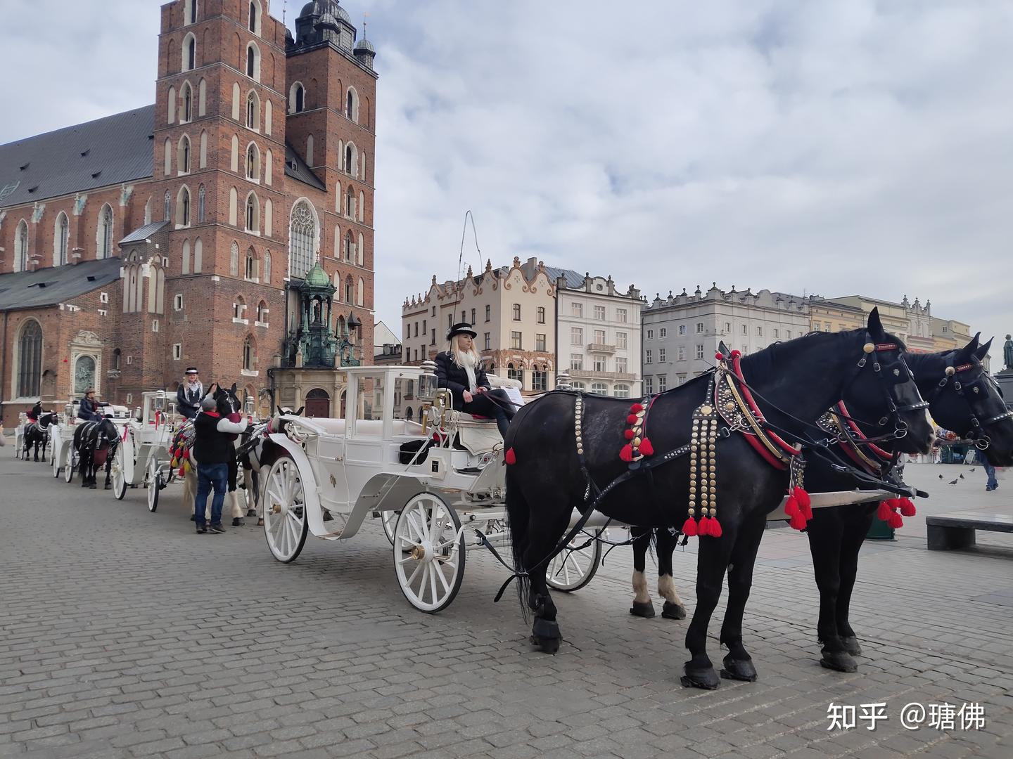 波蘭 茲 羅 提 歐元 (98) 사진
