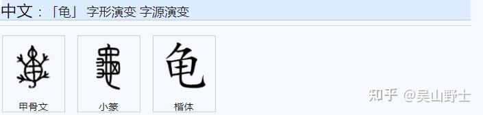 477请问“龟”字繁体正字何时由“龜”变为“龜”？ - 知乎