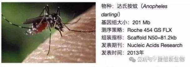 6种昆虫DNA提取方法及注意事项 - 知乎