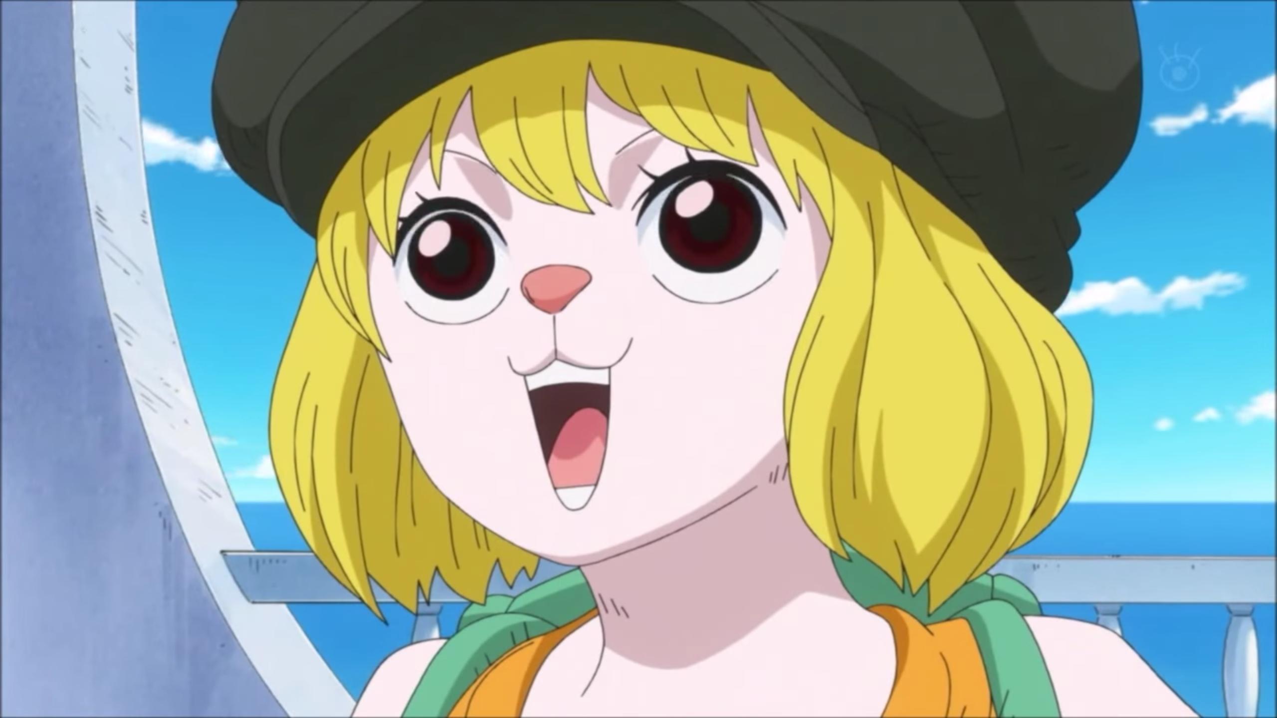 海贼王里加洛特这么萌为什么找不到好看的壁纸呢