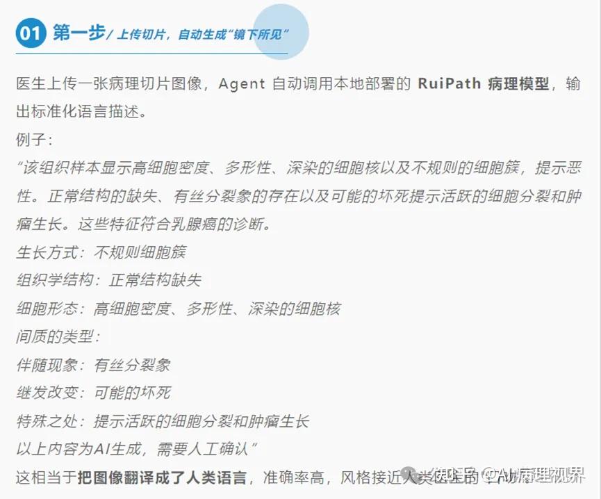 深度洞察 | 瑞金医院RuiPath病理大模型开源！从系统搭建到智能体集成，还有哪些关键亮点？ - 知乎
