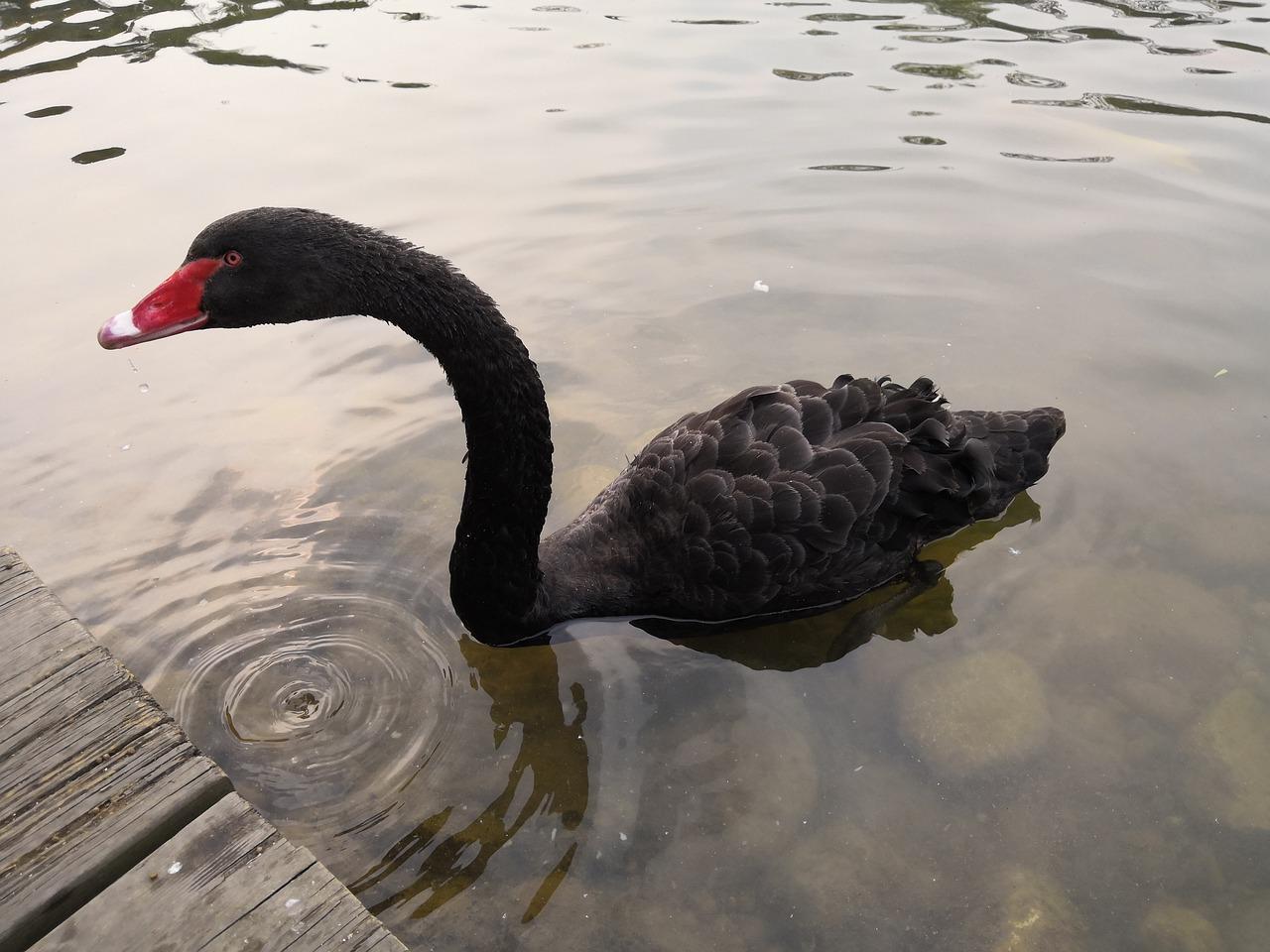 杭州到四川成都多少公里