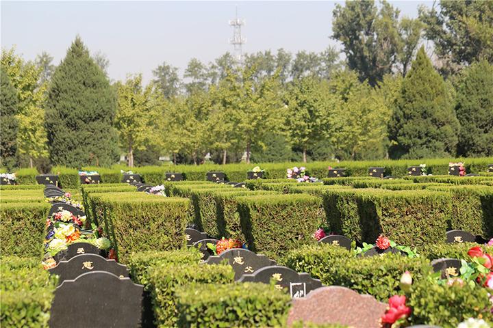 北京朝阳区墓地陵园图片