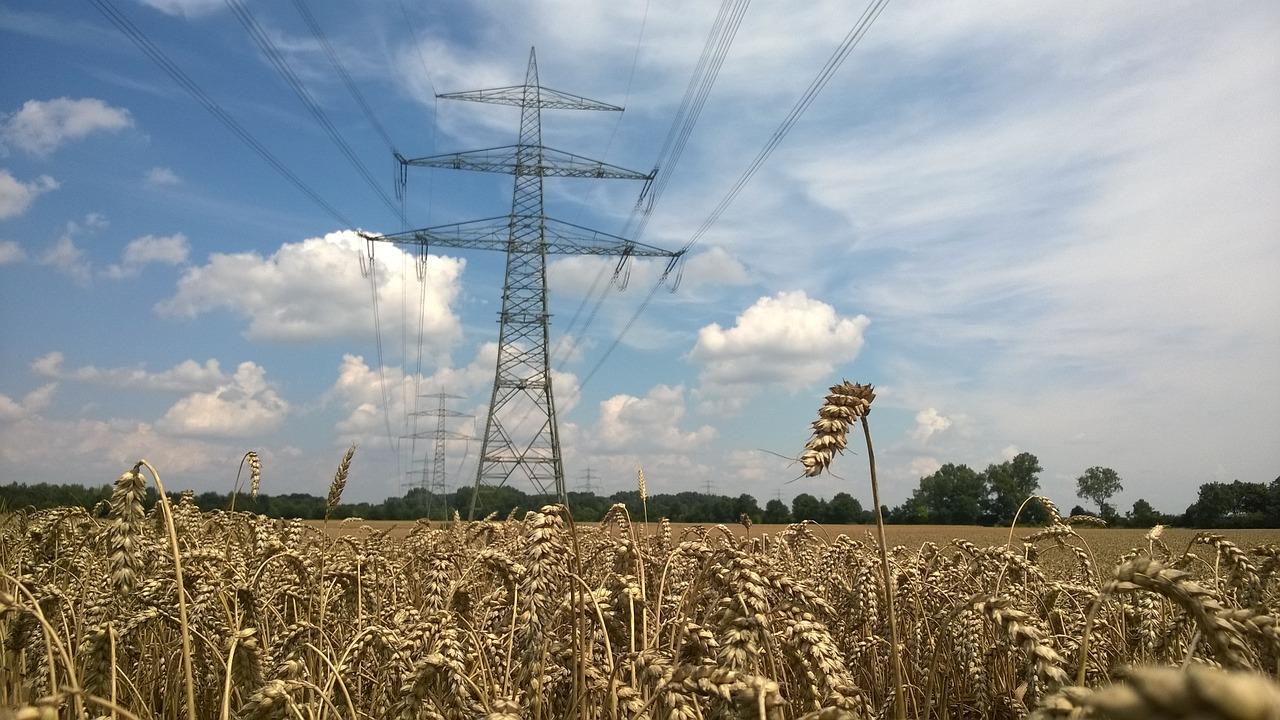 2. 双绞线结构特点