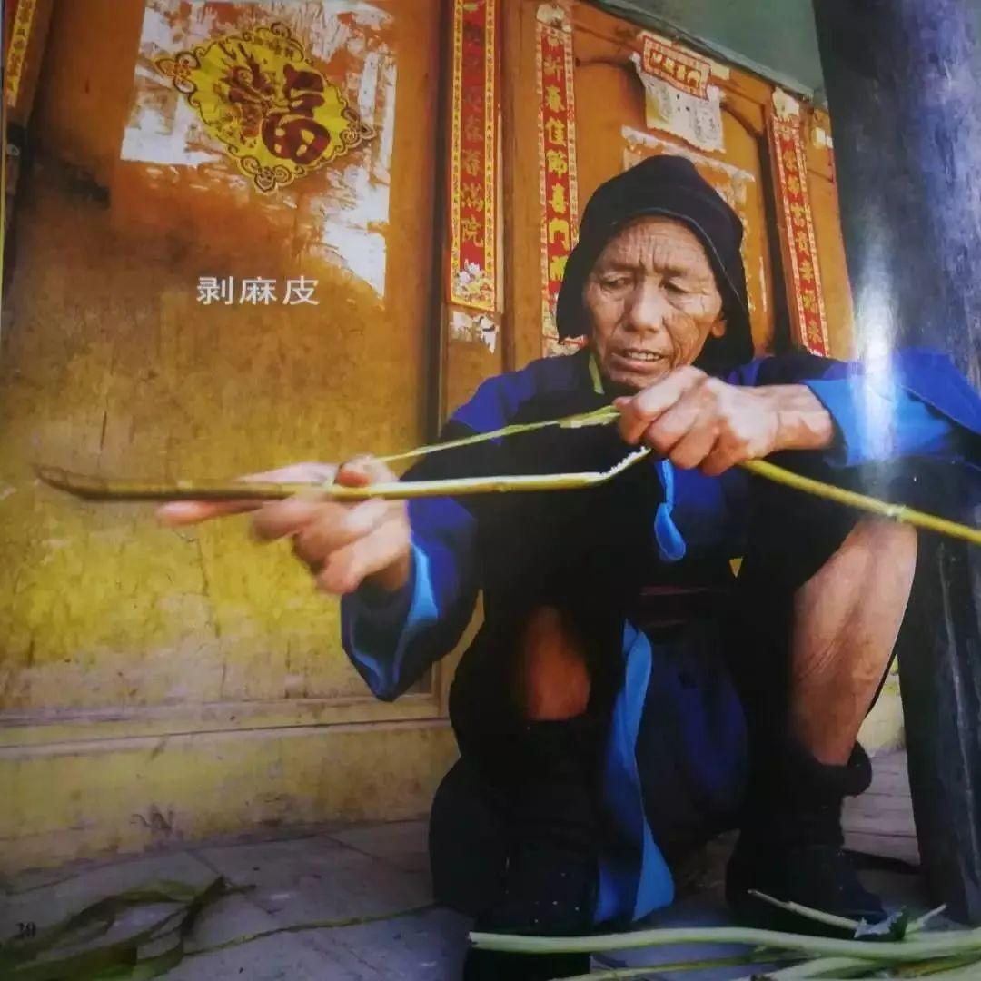 大理风物:鹤庆彝族火草衣