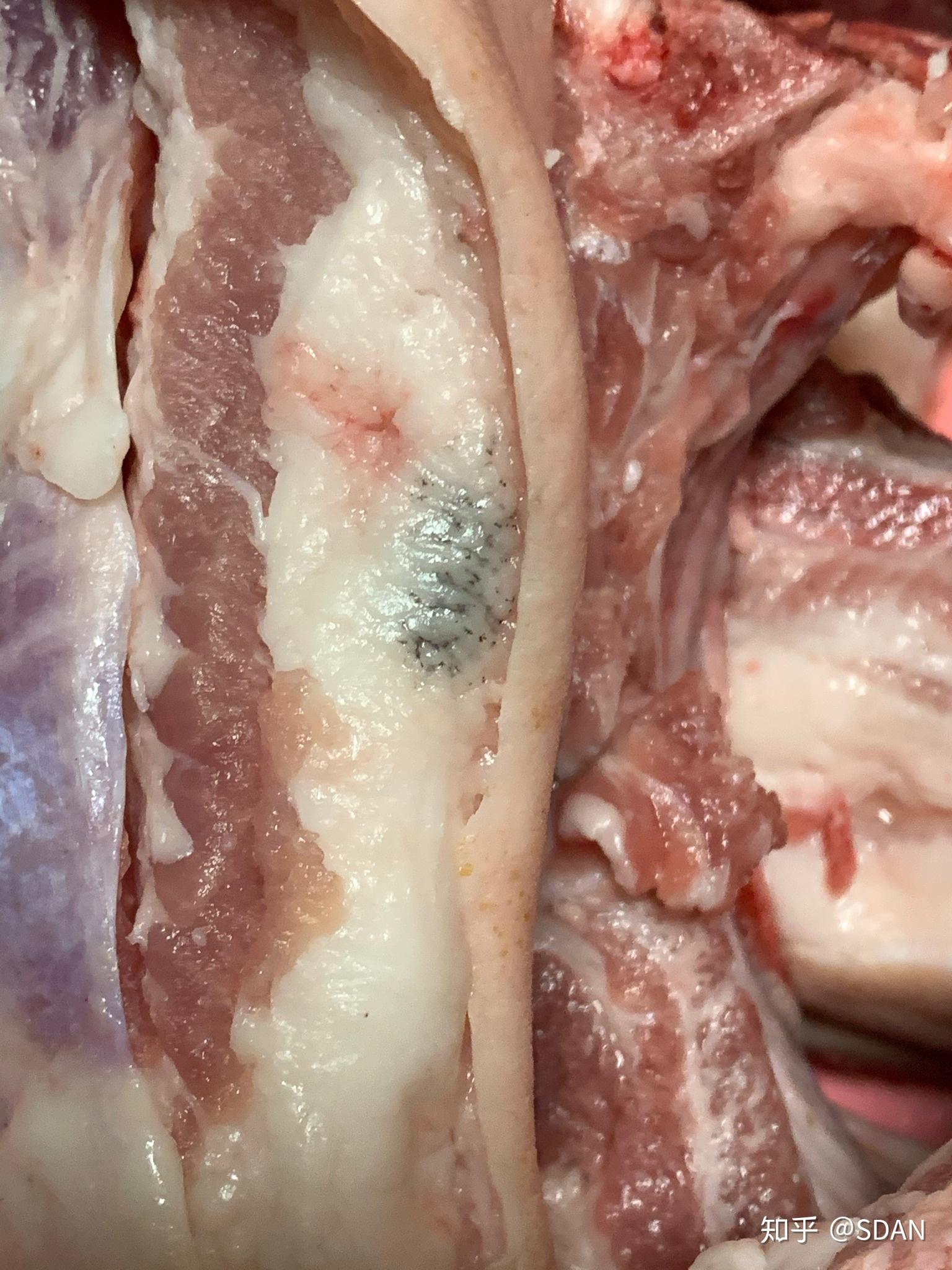 猪肉皮下脂肪(肥肉部分)有黑色东西是什么. - 知乎