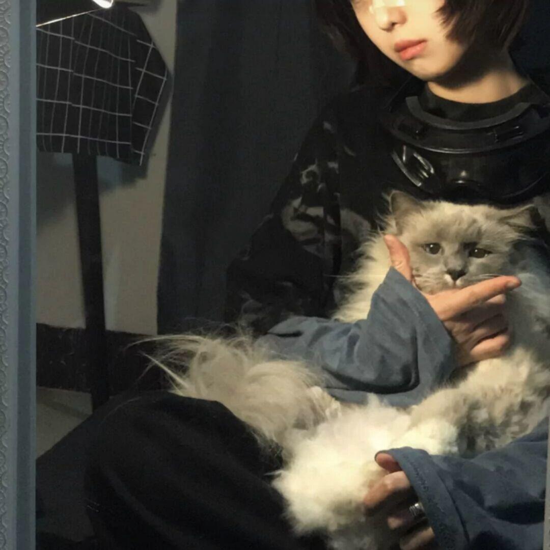 有没有女生抱着猫咪的头像呀