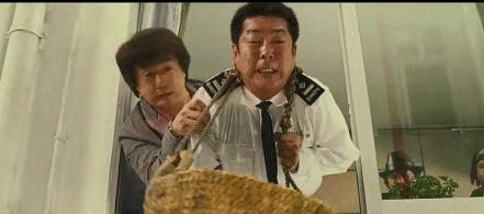 10部香港巅峰动作喜剧,百看不厌 - 知乎