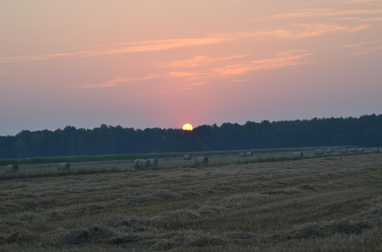 3. 更改背景颜色