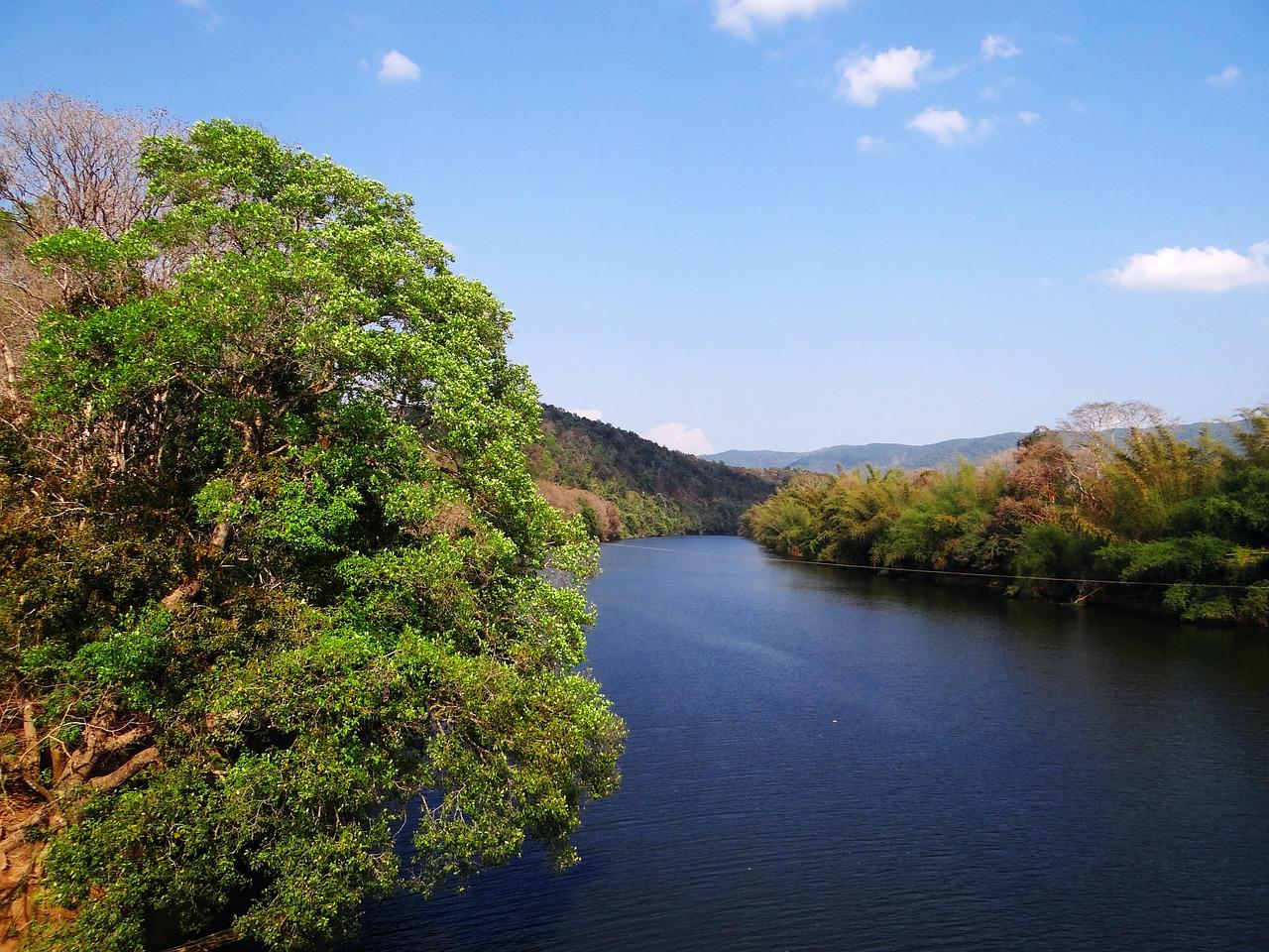 4. 植草砖绿化效果