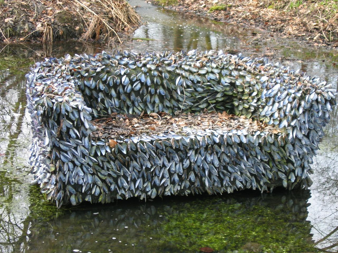 自动上水怎么装