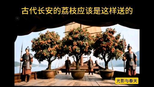 古代是否能把整棵荔枝树运到长安? - 知乎
